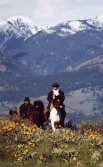 Trekking at Alfasaga